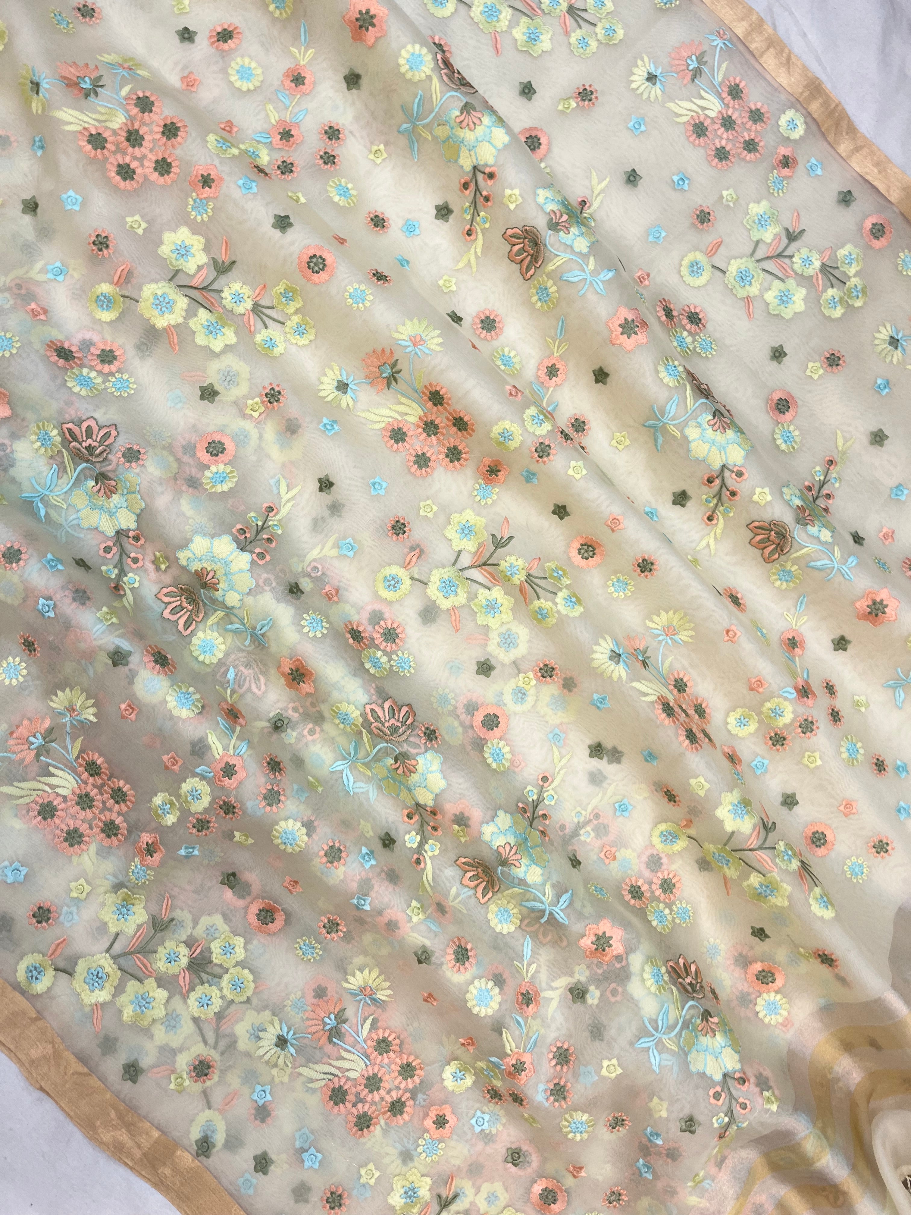 Pure Organza Chikankari Handloom Banarasi Saree