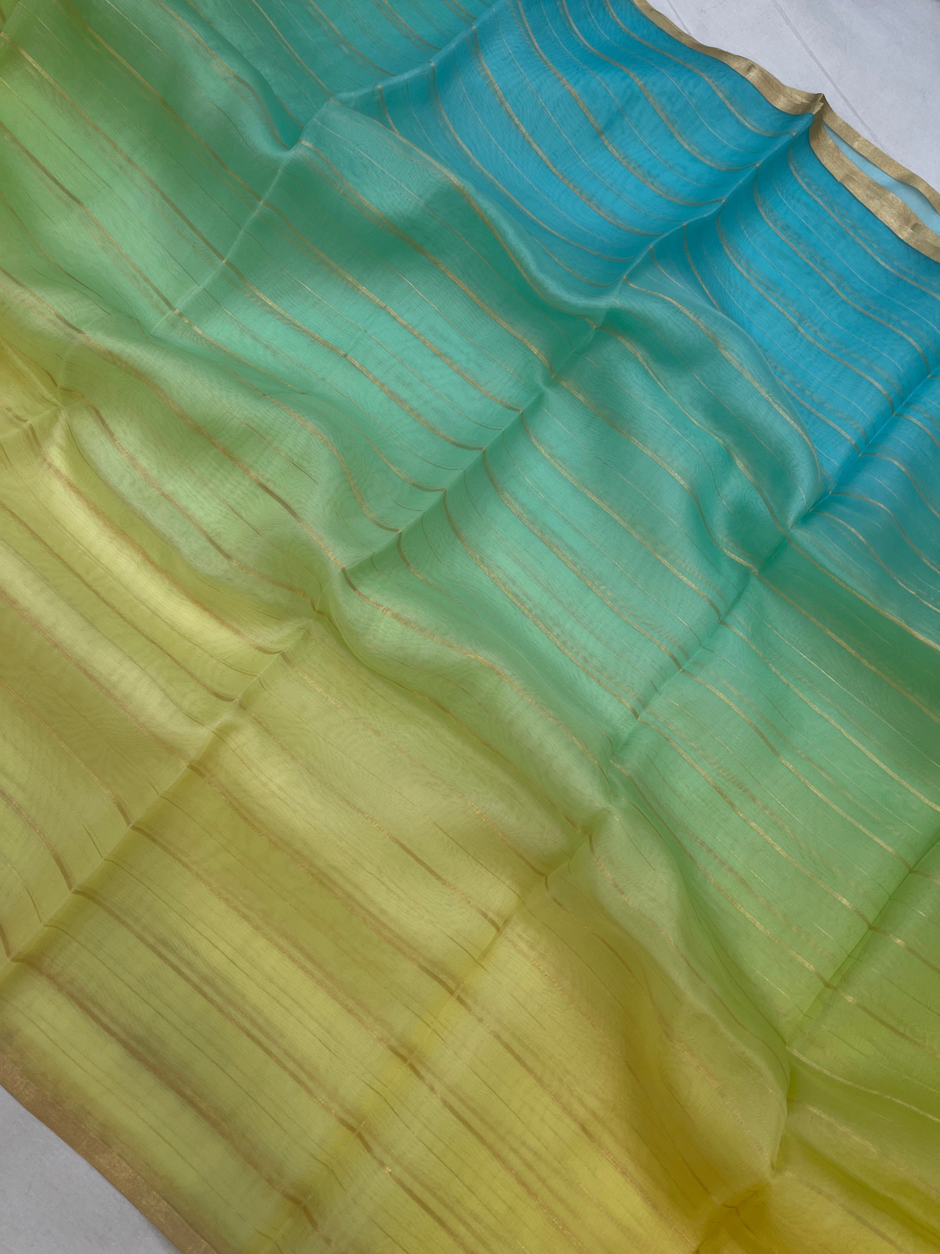 Pure Organza Plain Multi Banarasi Saree