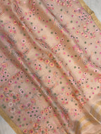 Pure Organza Chikankari Handloom Banarasi Saree