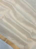 Pure Organza Chikankari Handloom Banarasi Saree