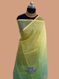 Pure Organza Plain Multi Banarasi Saree