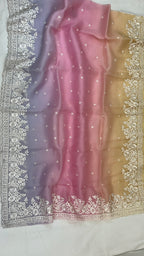 Pure Organza Embroidery with Rainbow Dye Banarasi Saree