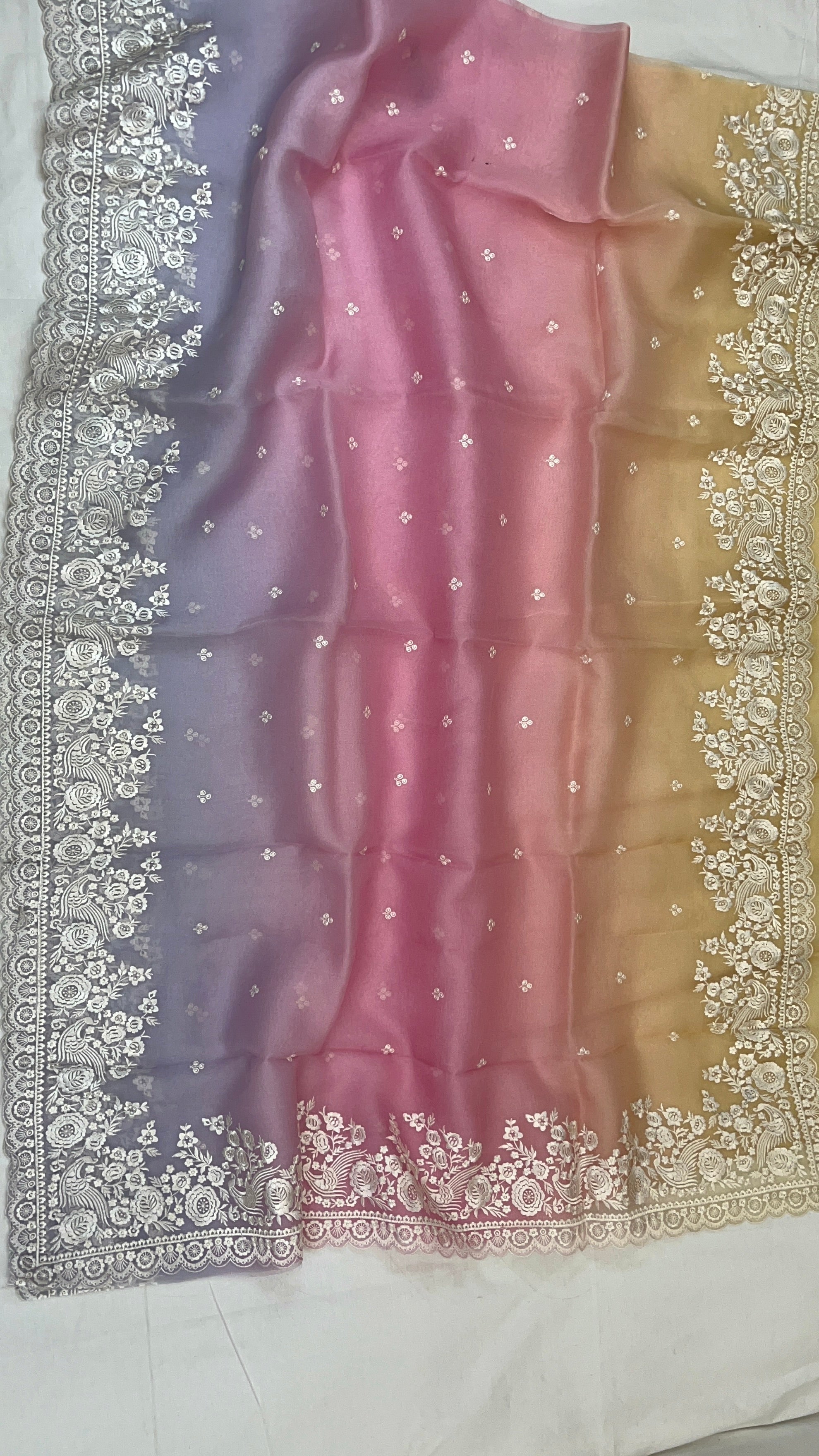 Pure Organza Embroidery with Rainbow Dye Banarasi Saree