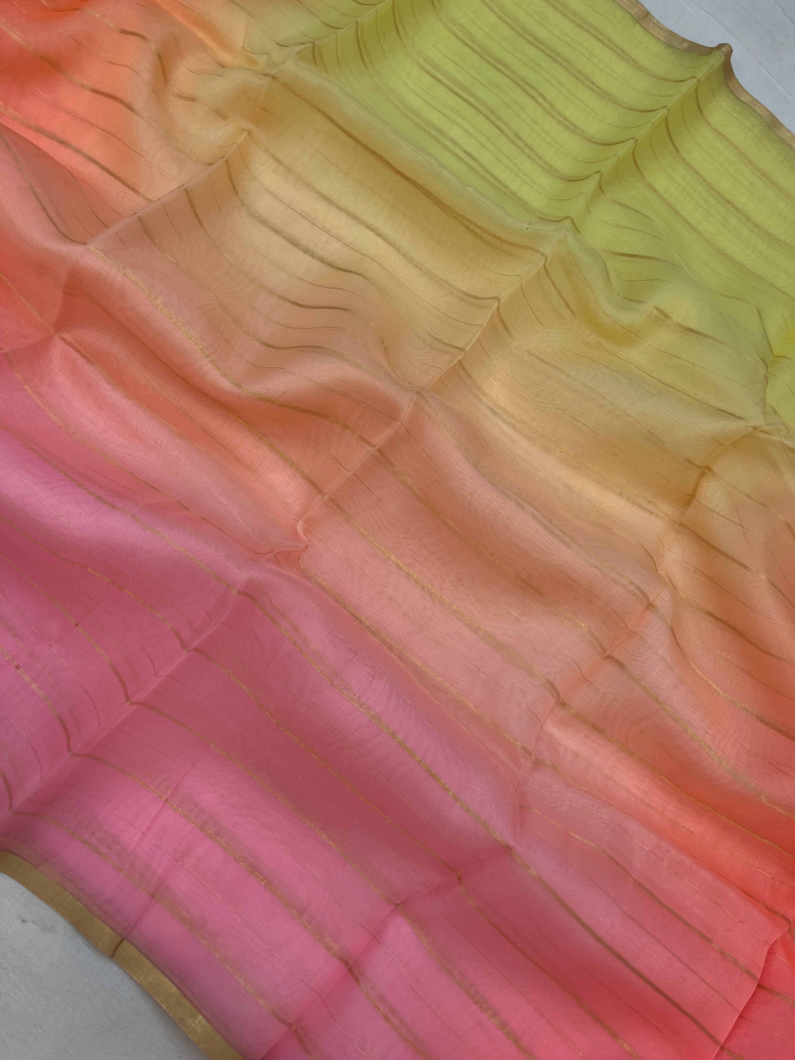 Pure Organza Plain Multi Banarasi Saree