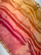 Pure Tissue Palin Multi Banarasi Saree