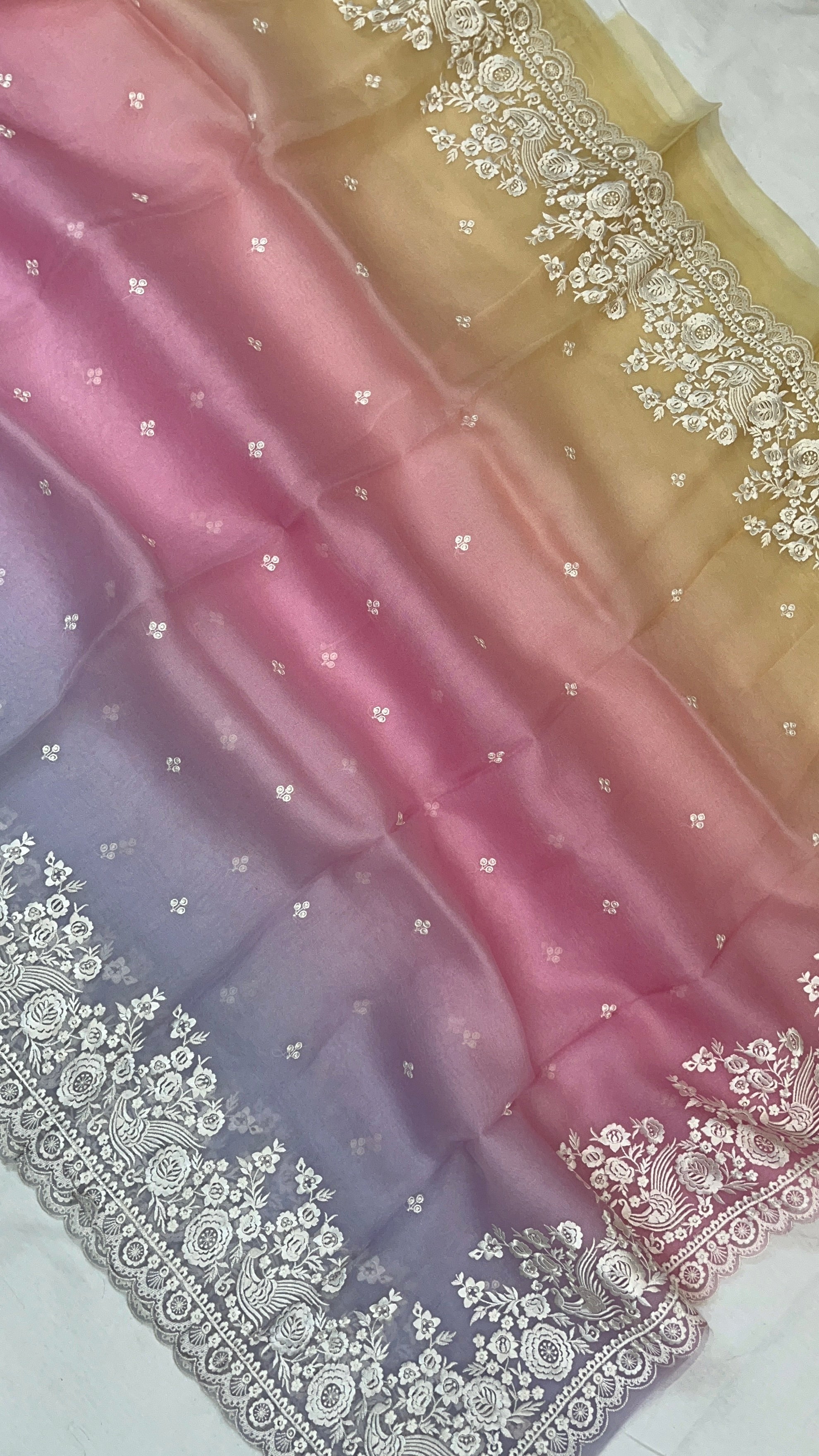 Pure Organza Embroidery with Rainbow Dye Banarasi Saree
