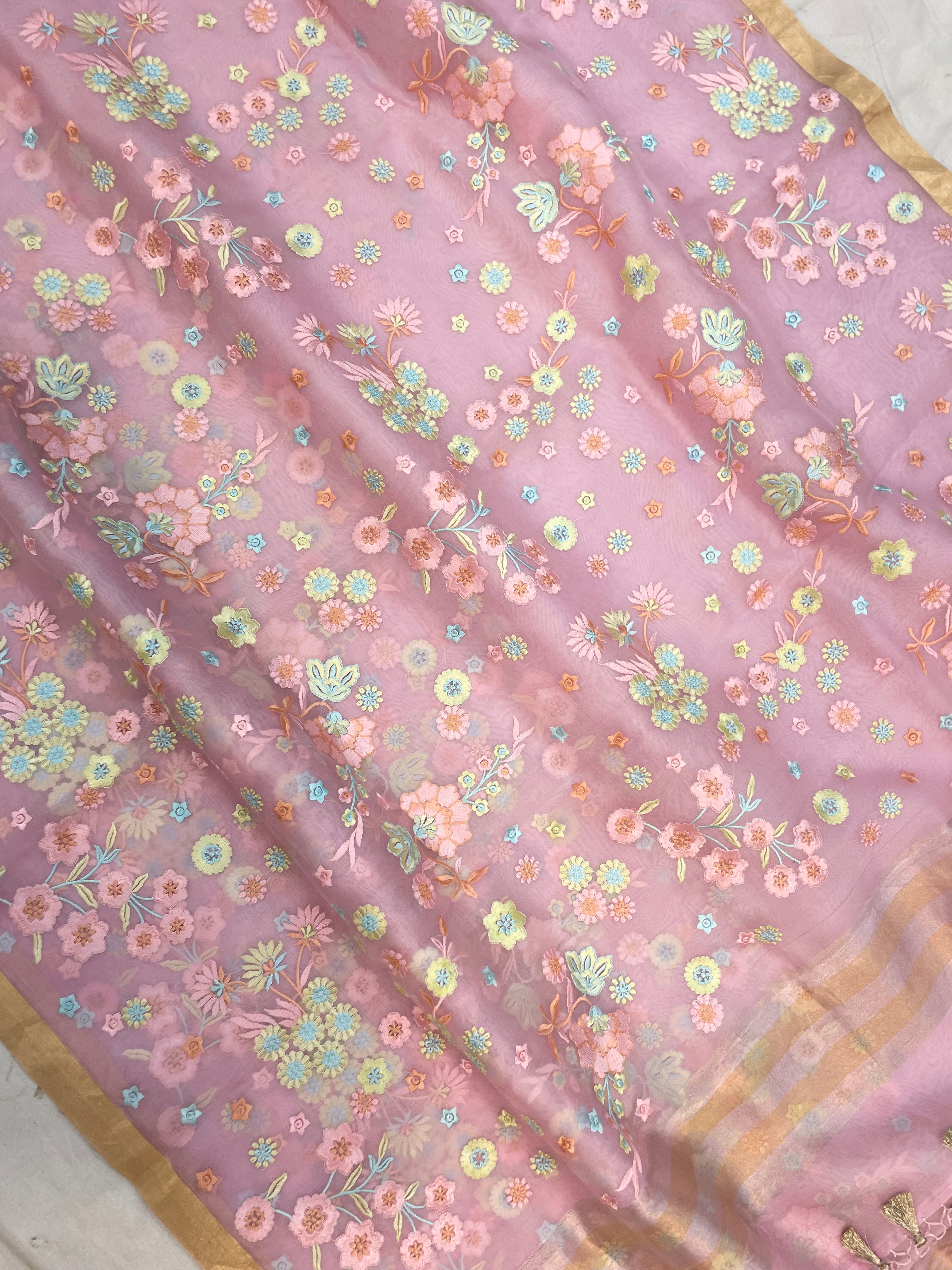 Pure Organza Chikankari Handloom Banarasi Saree