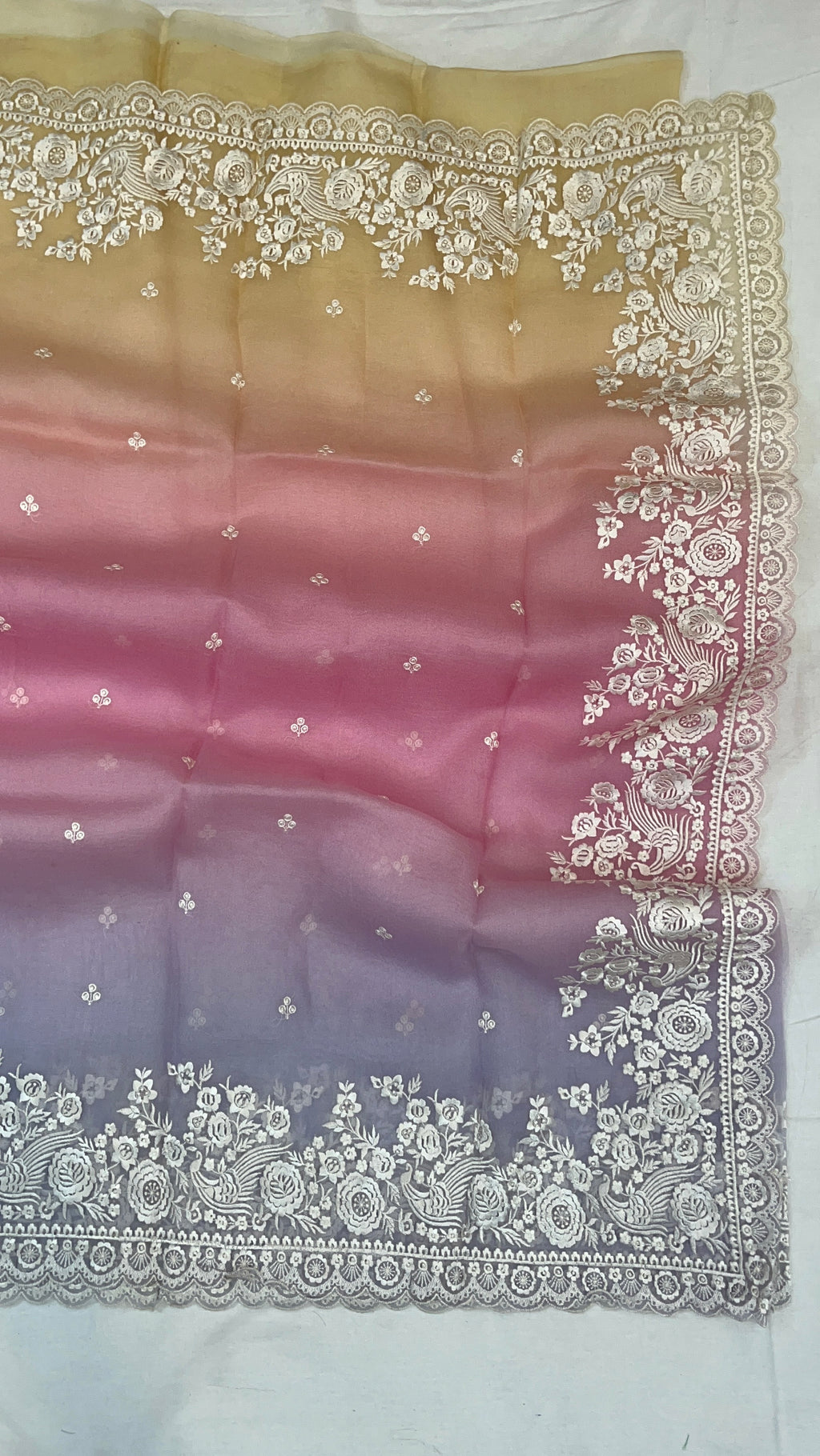 Pure Organza Embroidery with Rainbow Dye Banarasi Saree