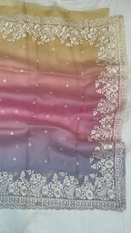 Pure Organza Embroidery with Rainbow Dye Banarasi Saree