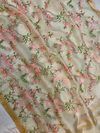 Pure Organza Chikankari Handloom Banarasi Saree