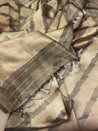 Pure Tissue Banarasi Saree