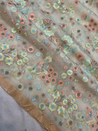 Pure Organza Chikankari Handloom Banarasi Saree