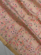 Pure Organza Chikankari Handloom Banarasi Saree