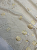 Natural Color Pure Monga Handloom Banarasi Saree