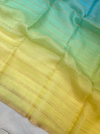 Pure Organza Plain Multi Banarasi Saree