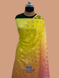Pure Organza Silk Banarasi Saree